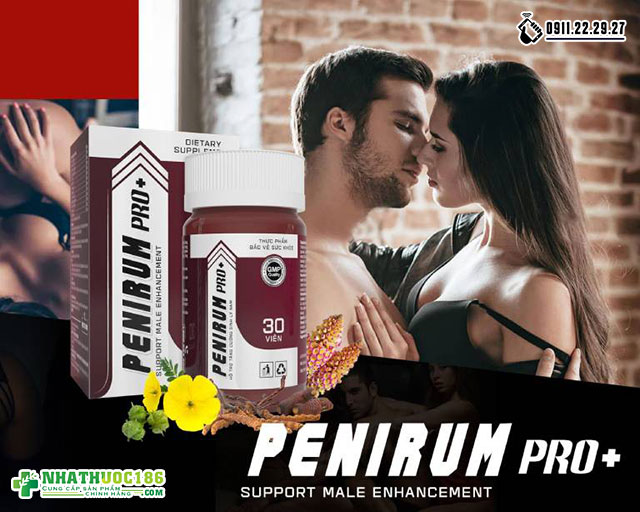 Penirum-Pro-1-1